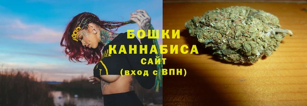 ECSTASY Гусев