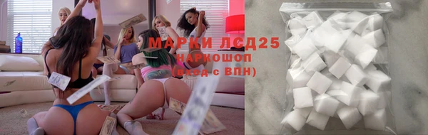 ECSTASY Гусев