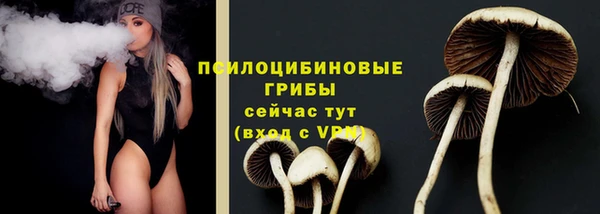 герыч Гусь-Хрустальный