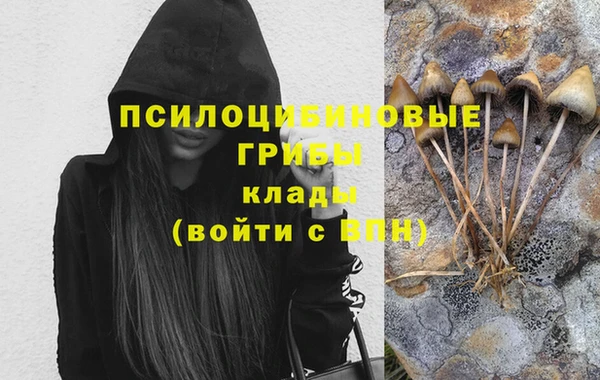 герыч Гусь-Хрустальный