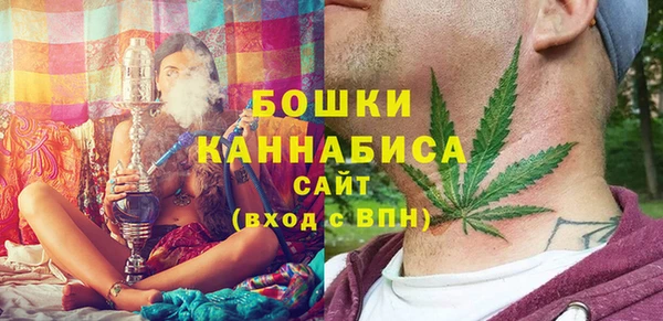 ECSTASY Гусев