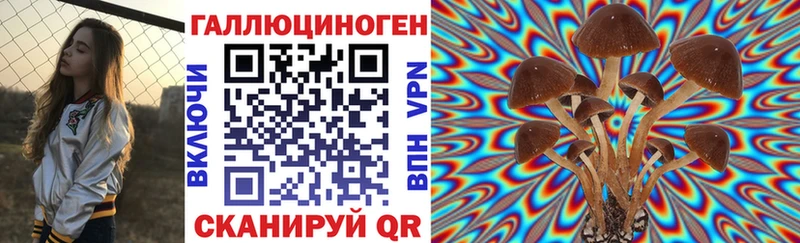 Купить  Южно-Сахалинск  Псилоцибиновые грибы Psilocybine cubensis 